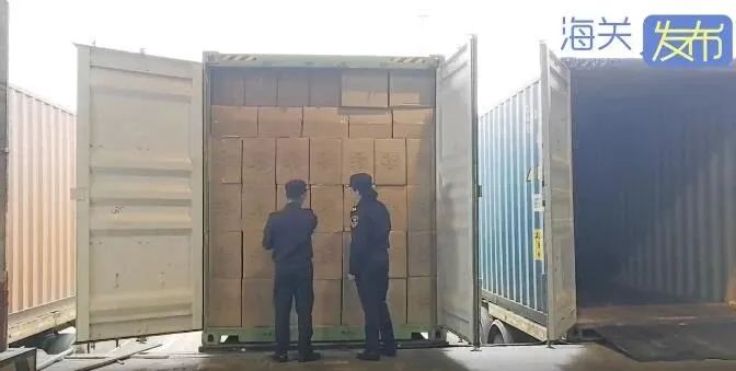 巨額罰款!20噸